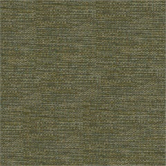 Notion Crypton Upholstery Fabric